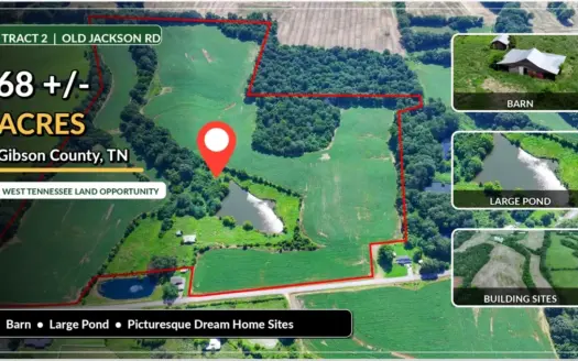 West TN Mixed-Use Farm for Sale – Pond, Barn, Lots of Wildlife