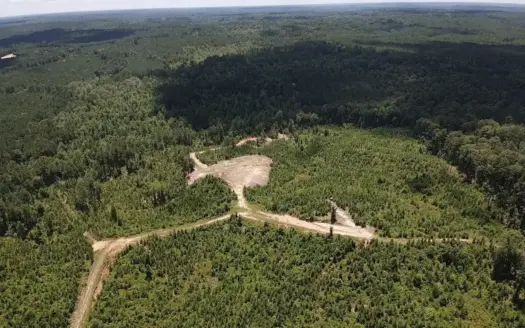 Wilkinson County MS Hunting Land for Sale