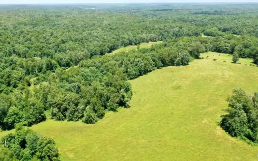 Wooded Hunting Land With Food Plots & Pond Near Salem, MO