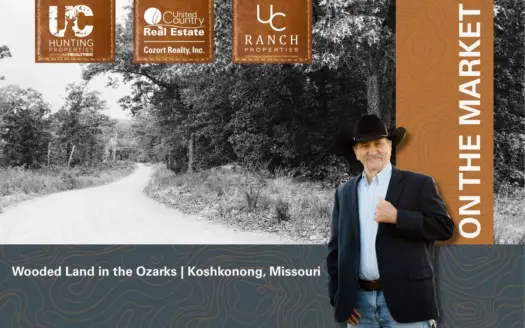 Wooded Land For Sale in Southern Missouri