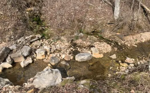 Year Round Spring On 35 Acres Near Lake