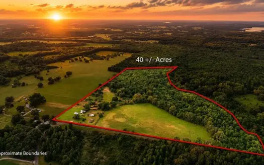 ± 40 Acres Winnsboro – Wood County East Texas Hunt, Build, Farm