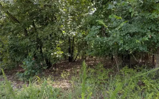 5+ Wooded Ozark Mountain Acres with Wildlife For Sale Boone Co