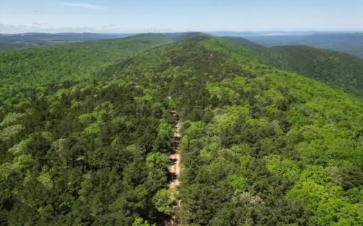 Land with Creek for Sale in Albion, Oklahoma