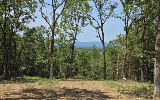 Wister Lake Acreage – Adjoining Wister Wildlife Management Area