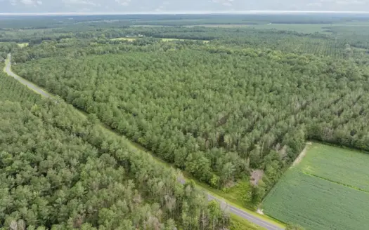 42-Acre Timber & Hunting Land for Sale in Edward, NC