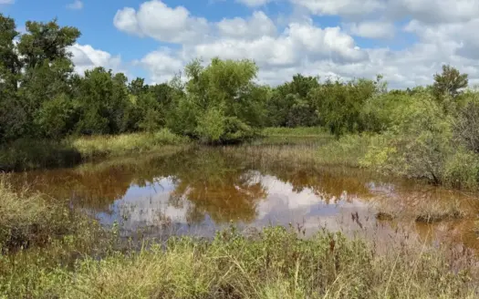 10.2 Acres for Sale Near Bangs, Texas – Tract 3