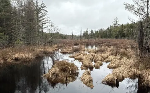Expansive 230 Acre Wooded Property – Calais, Maine