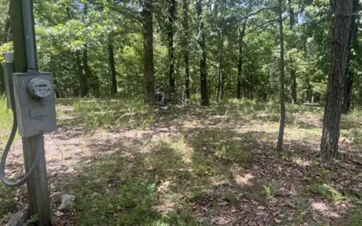 Acreage Minutes from BNR 20,000 Ac Wilderness