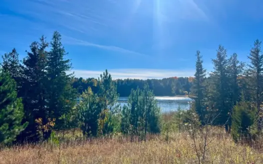 Waterfront Property on Lake Inez in Atlanta MI