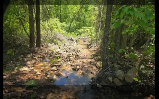 Mountain Land with Creek for Sale in Albion, Oklahoma