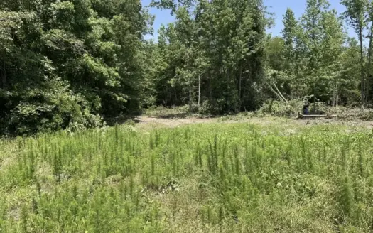 70 acres of Hunting Land with metal shop or Barndominium