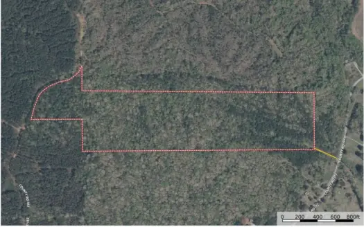 +/- 50 acres of Hunting Land & Timberland in Union County