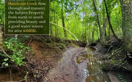 Hunting, Recreation, & Timber For Sale in Booneville, Mississippi