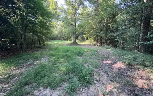 375± Acres in Jefferson County, MS Near Natchez Trace