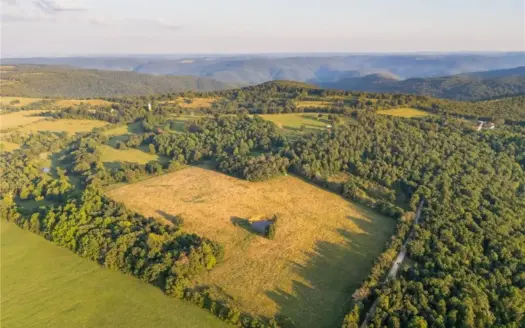 Fenced 155 Ac Rural Hunting/Farm Land Property For Sale Newton Co