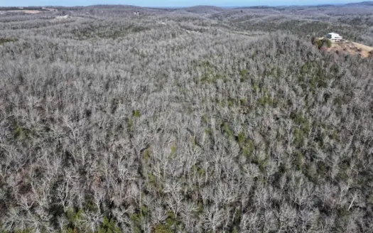 113 Acres for Dream Home and Farm or Recrdeational Hunting
