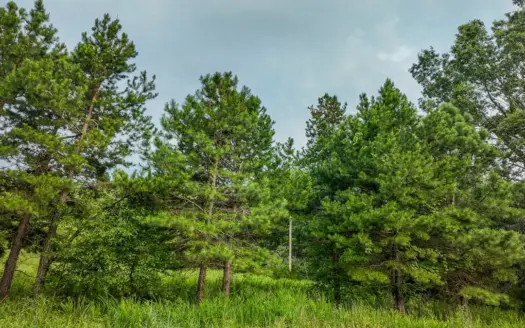 Land for sale in Osceola, Missouri
