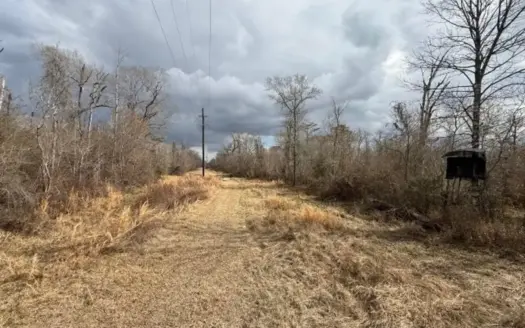 470 Acres on Calcasieu River in Allen Parish, LA