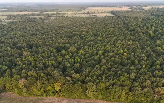 Timberland & Hunting Acreage in Ashdown, Arkansas for Sale