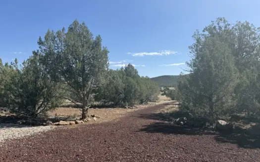 Mountain Land for Sale, Paved road, No HOA!