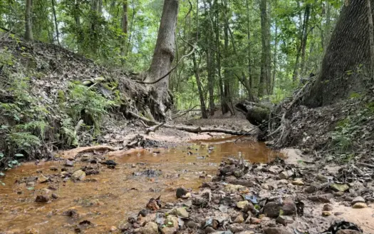 44± acres of Land for Sale in Northeast Texas
