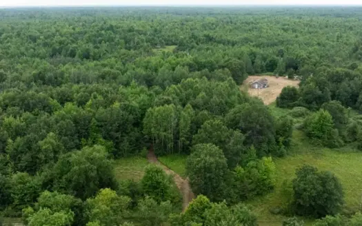 Juneau County WI 80 Acre Camp For Sale
