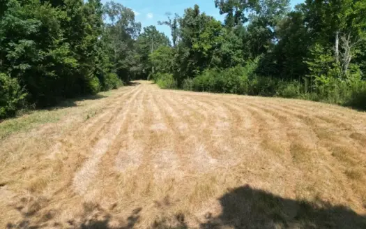 375± Acres in Jefferson County, MS Near Natchez Trace