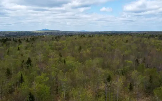 109.54 Acres of Maine Land with Brook Frontage