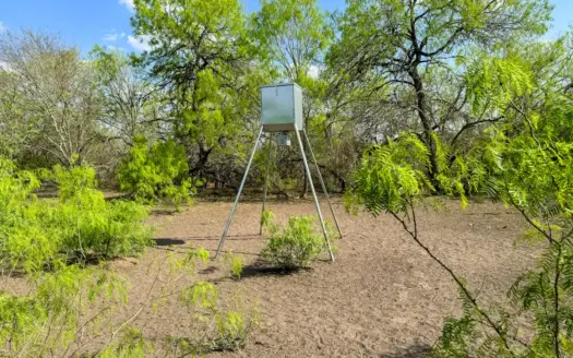 Unrestricted Hunting & Recreational Land Near Beeville