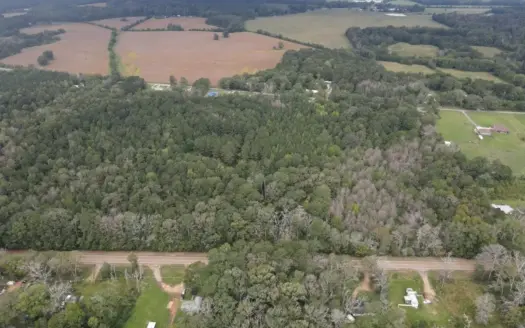 Highway 35 Land for Sale, Forest, Scott County MS
