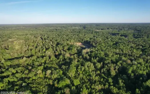 266± Acres Hinds/Copiah Line with Creek & Income