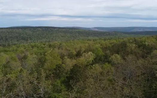 Hunting Land for Sale in Nashoba Oklahoma