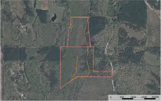 Hunting Land & Timberland For Sale in Union County