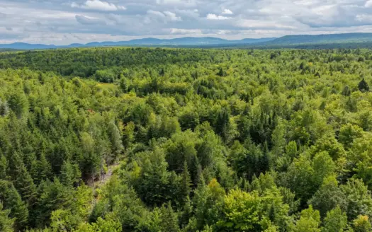 109.54 Acres of Maine Land with Brook Frontage