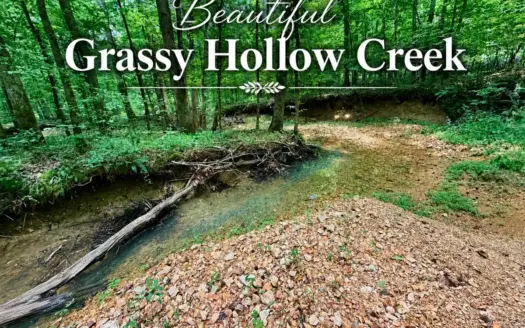 Creek, Hardwood, & a Yurt Near the Tennessee River For Sale