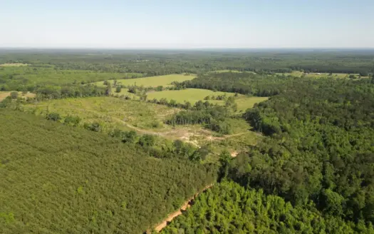 ±92 Acres Hunting & Timber Land in East TX