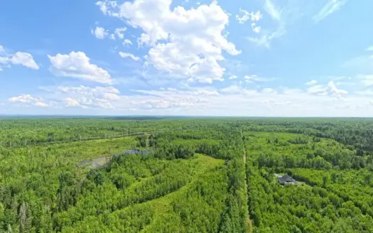 58.8 Wooded Acres with Pond – Pittsfield, Maine