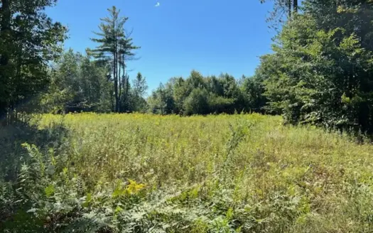 Wooded and Open Acreage For Sale in Fulton County, NY!