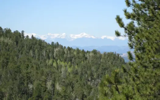 Colorado Mountain Ranch-Near Pikes Peak- Stunning Mountain Views