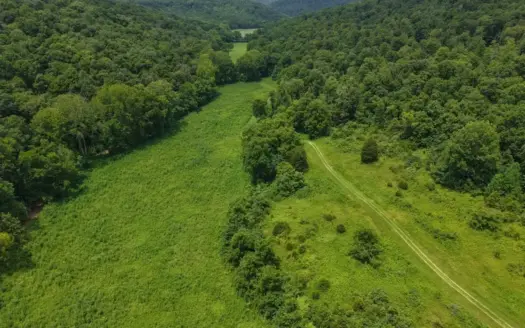 Hunting Land in Monticello, Kentucky
