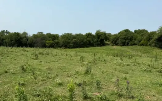 80± Acres North of Glenwood, Missouri