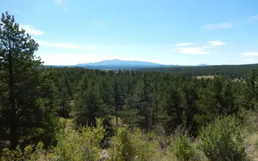 Colorado Mountain Land 41 Acres With Well National Forest Access