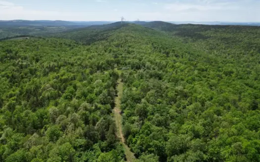 Mountain Land in Albion, Oklahoma for Sale
