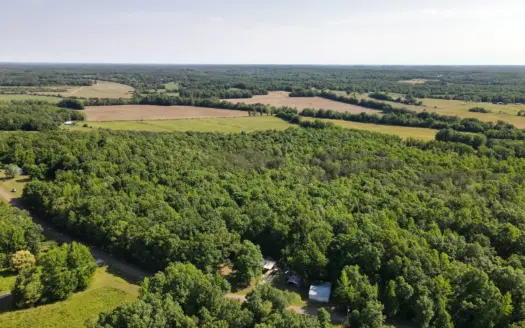 Land For Sale In Tn, Homesite, Hunting, Field, Timber, Creek
