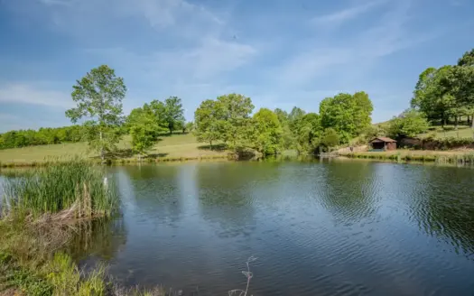 94± Acre Tn Country Home, Hunting, Lake & Creek Frontage!