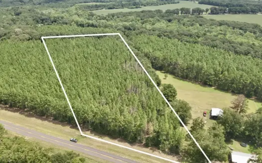 7 Acres For Sale N County Road 79, Coffee Springs, Al