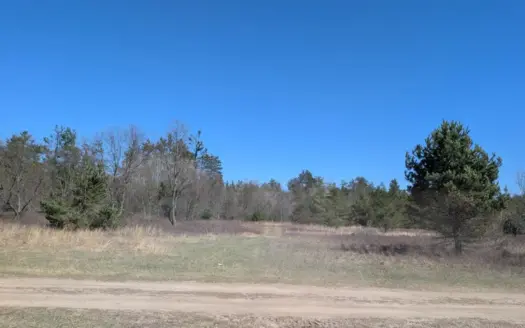 Buildable Acreage Across from State Land Atlanta MI