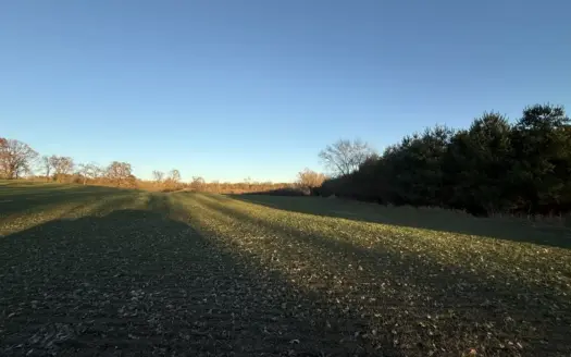 92+/- Acres of Hunting Land in Green Lake WI