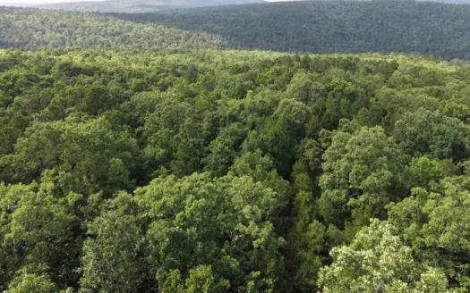 58 Acres FOR SALE in Panola, OK